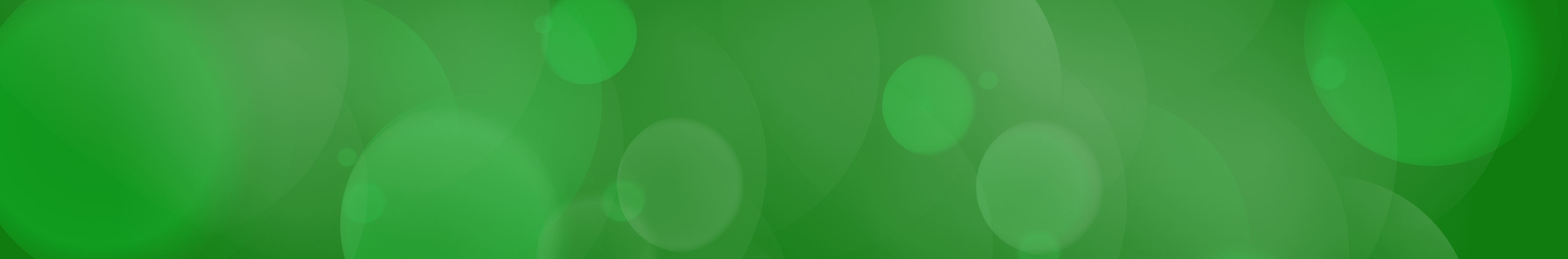 basic-banner-4